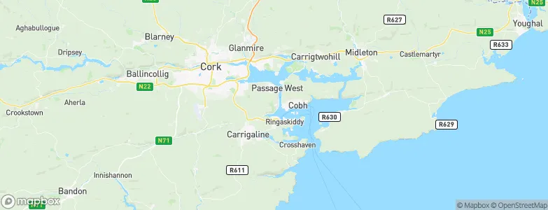 Monkstown, Ireland Map