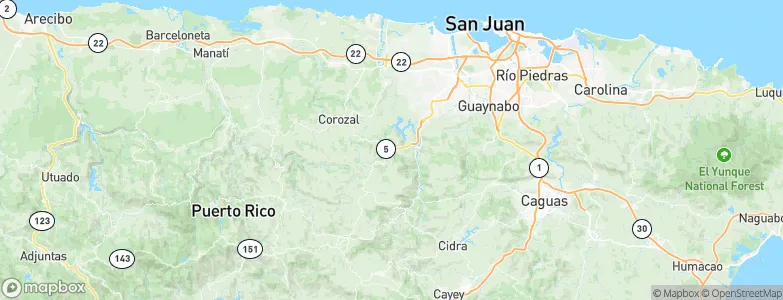 Naranjito, Puerto Rico Map