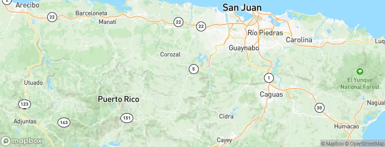 Naranjito, Puerto Rico Map