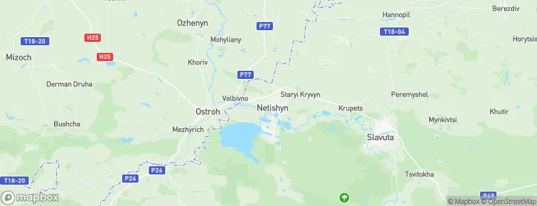 Netishyn, Ukraine Map