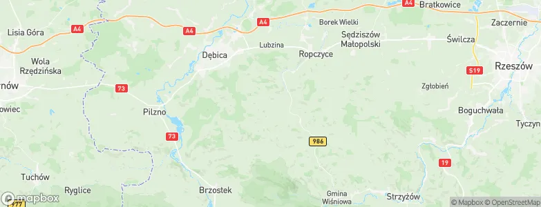 Niedźwiada, Poland Map