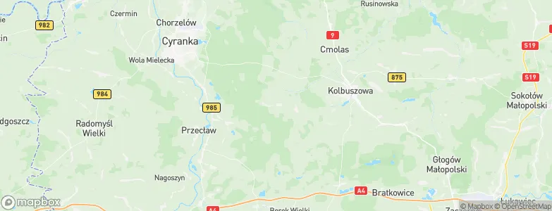 Niwiska, Poland Map