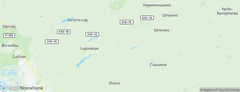Novokopylovo, Russia Map