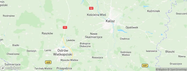Nowe Skalmierzyce, Poland Map