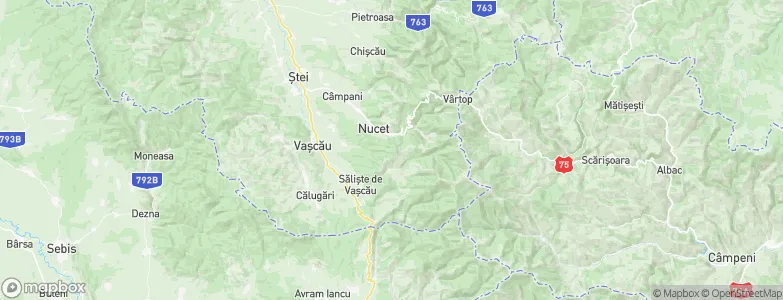 Nucet, Romania Map