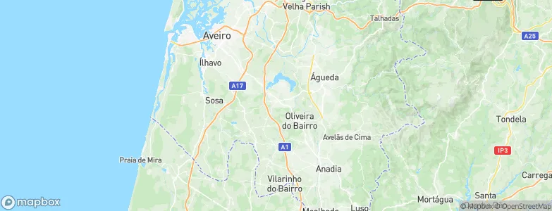 Oiã, Portugal Map