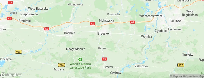 Okocim, Poland Map