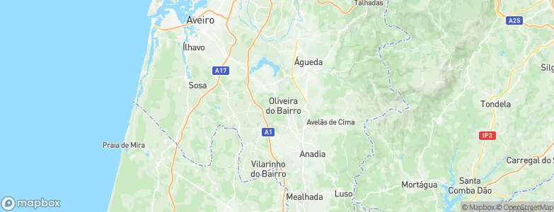 Oliveira do Bairro, Portugal Map