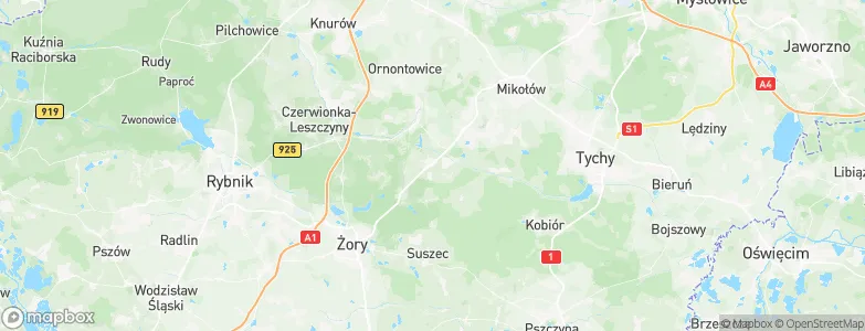 Orzesze, Poland Map