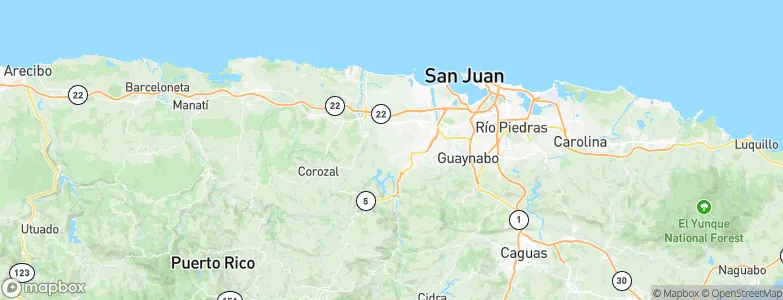 Pájaros, Puerto Rico Map