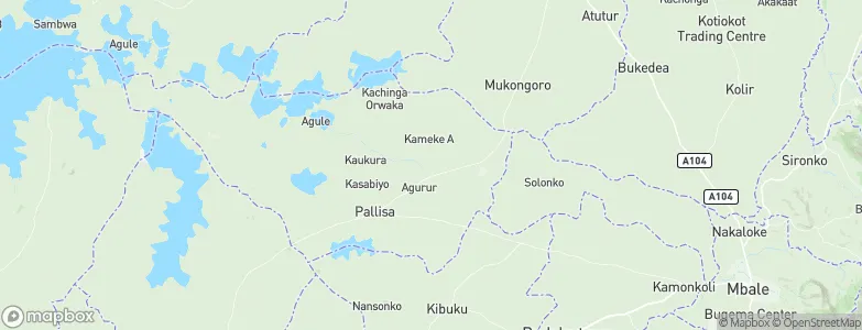 Pallisa District, Uganda Map