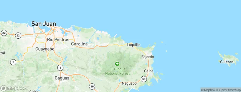Palmer, Puerto Rico Map