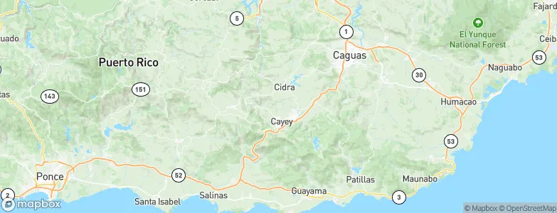 Parcelas Nuevas, Puerto Rico Map