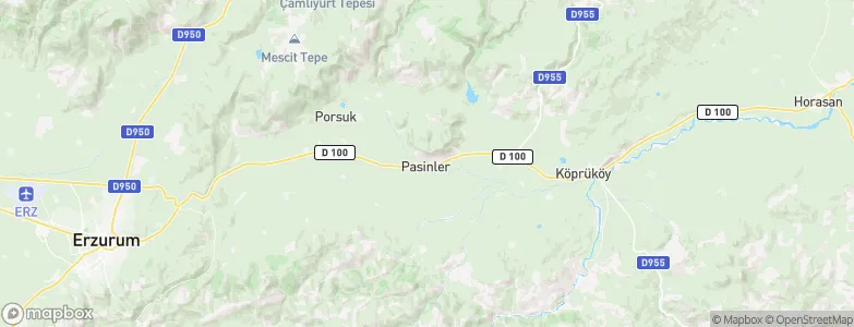 Pasinler, Turkey Map