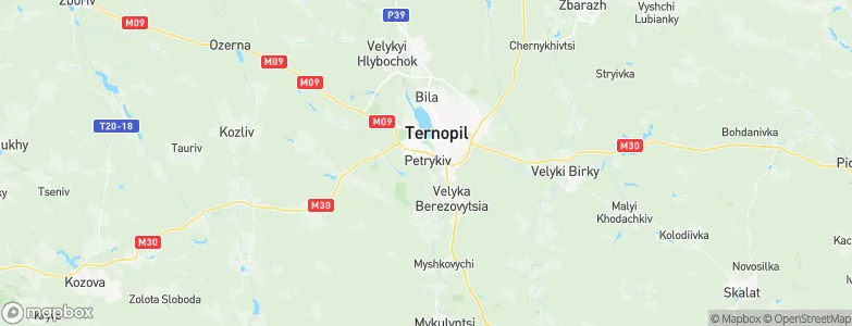 Petrikov, Ukraine Map