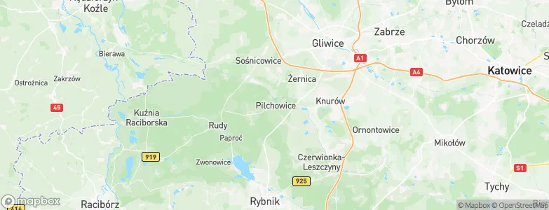 Pilchowice, Poland Map