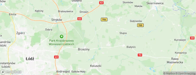 Powiat brzeziński, Poland Map