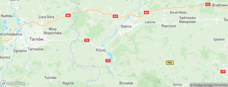 Powiat dębicki, Poland Map