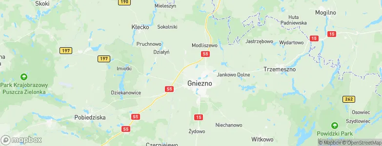 Powiat gnieźnieński, Poland Map