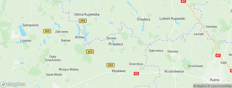 Przedecz, Poland Map
