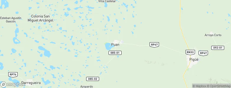 Puan, Argentina Map