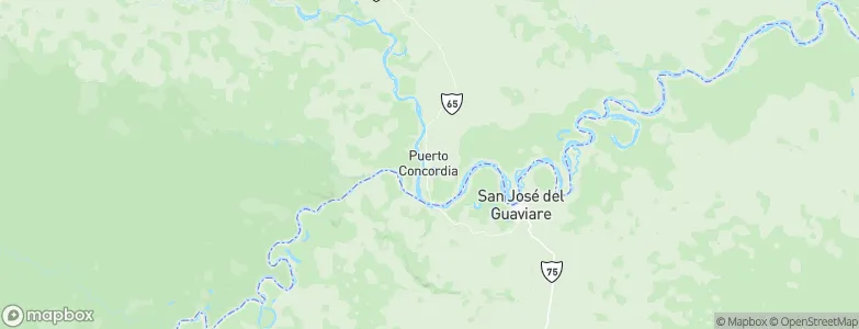 Puerto Concordia, Colombia Map