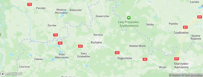 Rogów, Poland Map