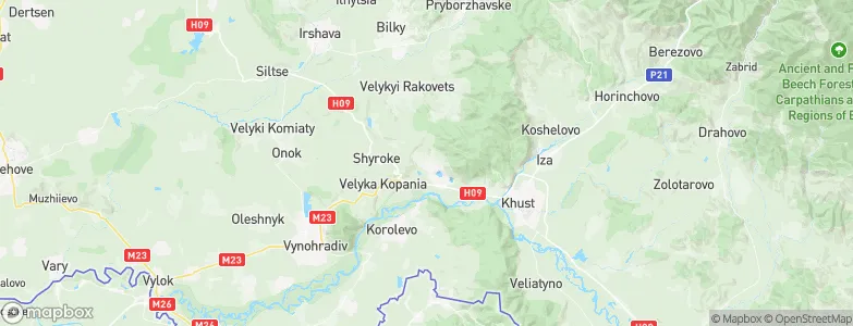 Rokosovo, Ukraine Map