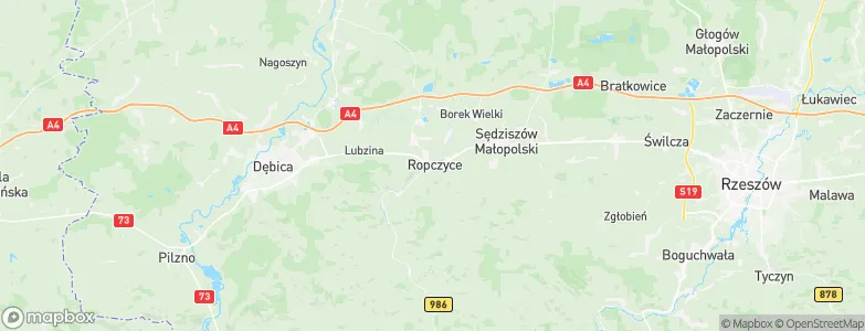 Ropczyce, Poland Map