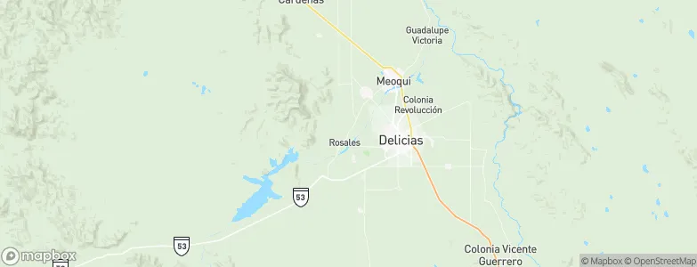Rosales, Mexico Map