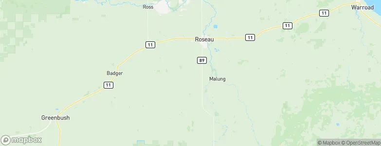 Roseau, United States Map