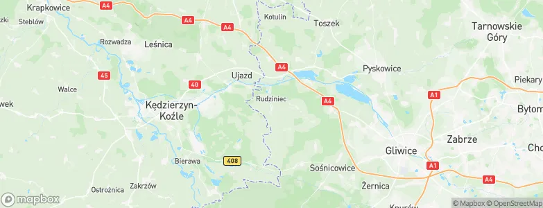 Rudziniec, Poland Map