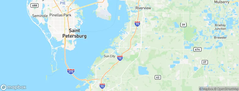 Ruskin, United States Map