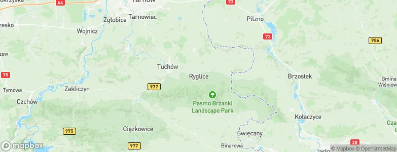 Ryglice, Poland Map