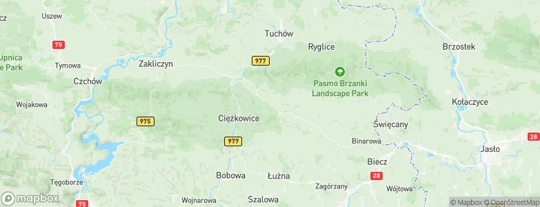 Rzepiennik Strzyżewski, Poland Map