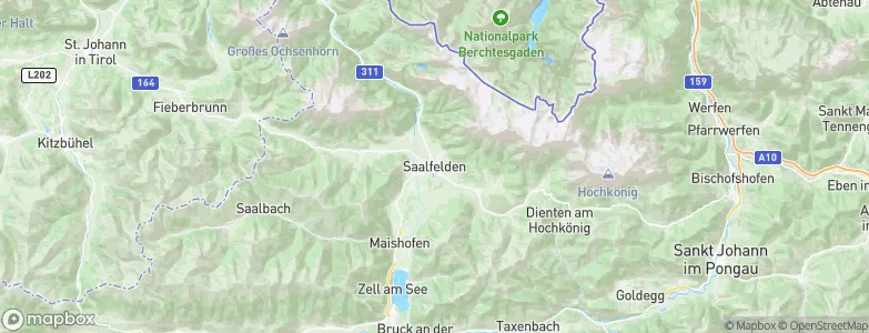Saalfelden am Steinernen Meer, Austria Map