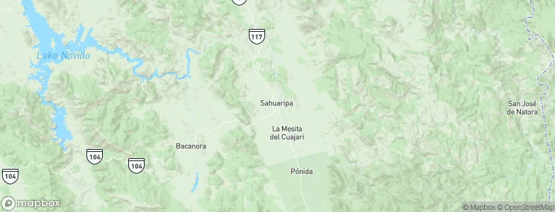 Sahuaripa, Mexico Map