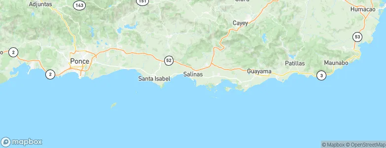 Salinas, Puerto Rico Map