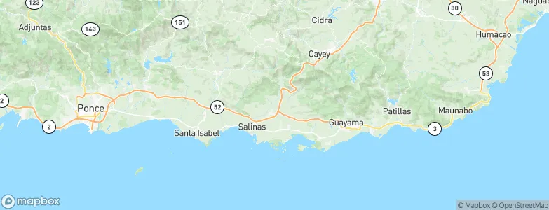 Salinas, Puerto Rico Map