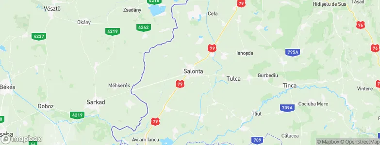 Salonta, Romania Map