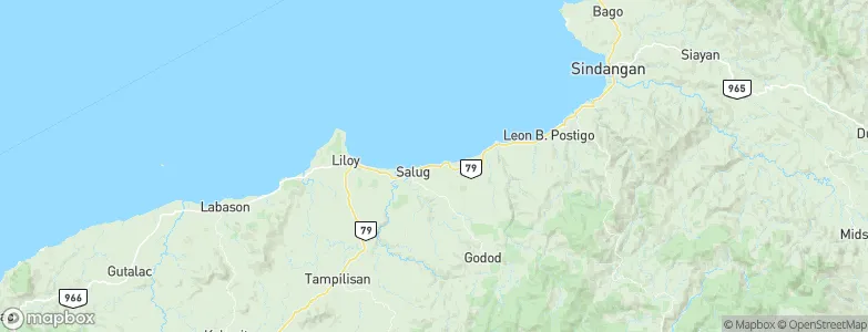 Salug, Philippines Map