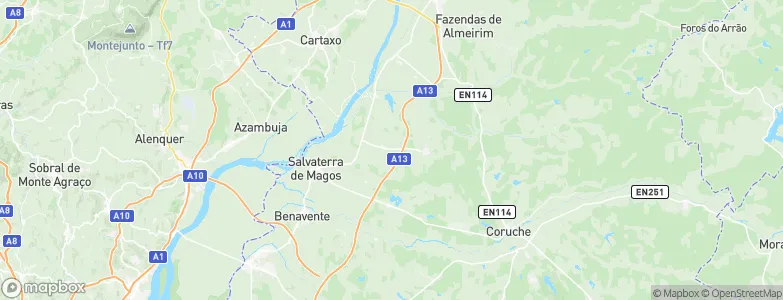 Salvaterra de Magos Municipality, Portugal Map