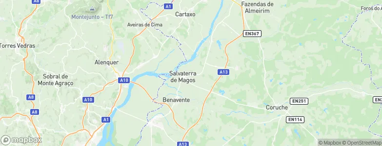 Salvaterra de Magos, Portugal Map
