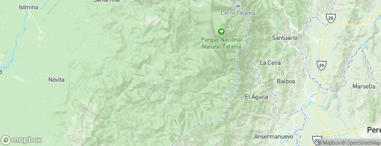 San José del Palmar, Colombia Map