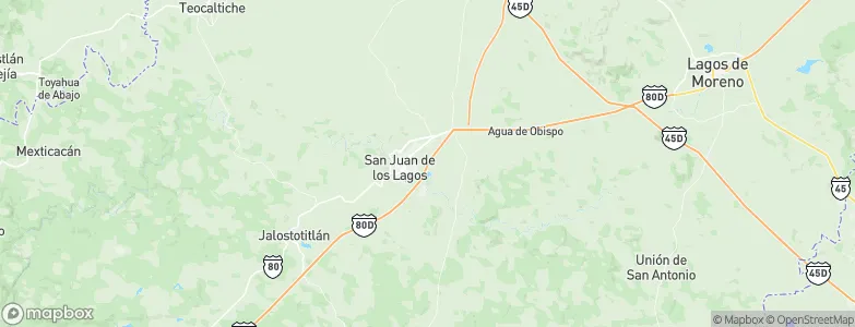San Juan de los Lagos, Mexico Map