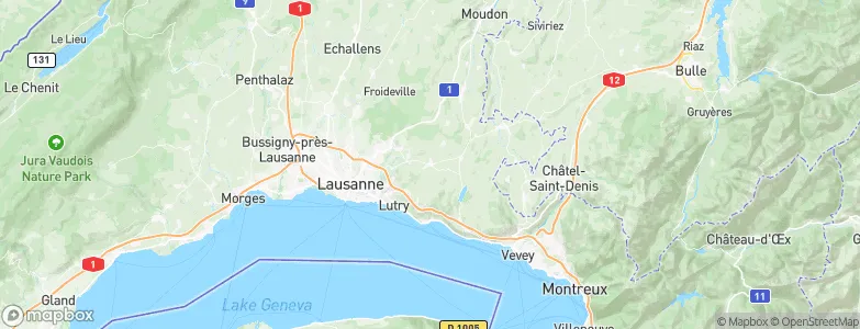 Savigny, Switzerland Map