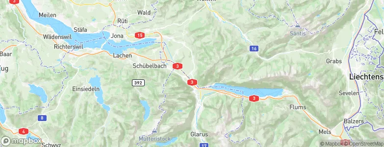 Schänis, Switzerland Map