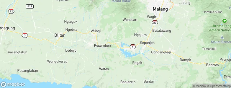 Selorejo, Indonesia Map