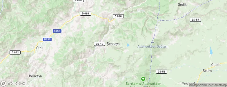 Şenkaya, Turkey Map