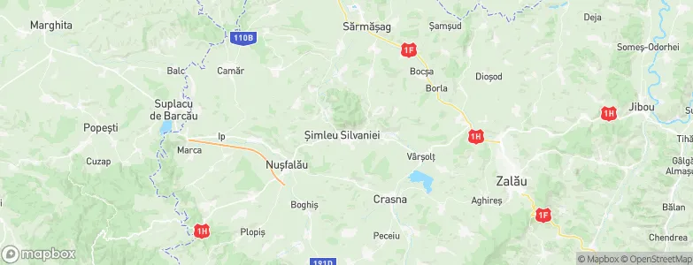 Şimleu Silvaniei, Romania Map